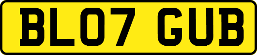 BL07GUB