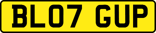 BL07GUP
