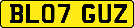BL07GUZ