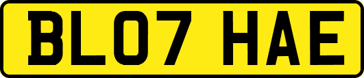 BL07HAE