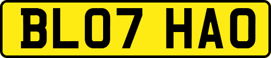 BL07HAO