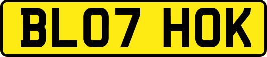 BL07HOK