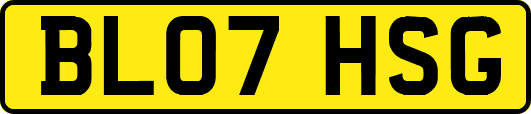 BL07HSG