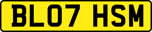 BL07HSM