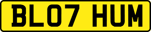 BL07HUM