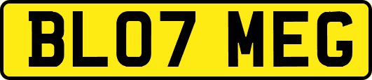 BL07MEG