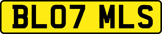 BL07MLS