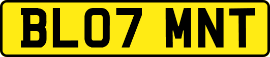 BL07MNT