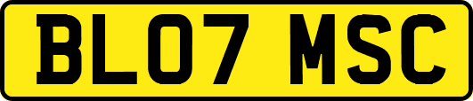 BL07MSC
