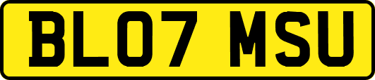 BL07MSU