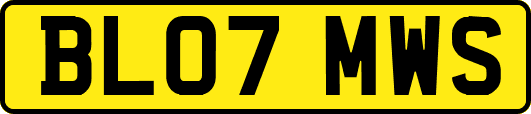 BL07MWS