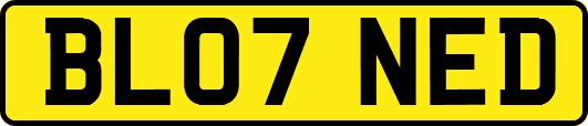 BL07NED