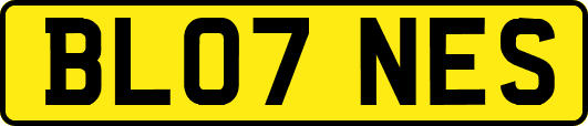 BL07NES
