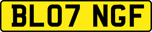 BL07NGF