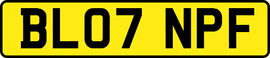 BL07NPF