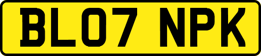 BL07NPK