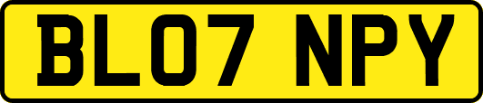 BL07NPY