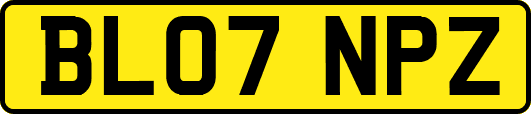 BL07NPZ