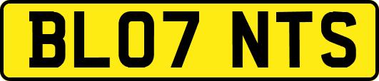 BL07NTS