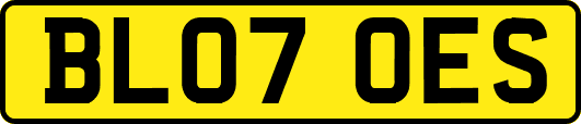 BL07OES