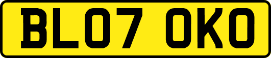 BL07OKO