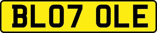 BL07OLE