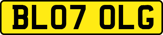 BL07OLG