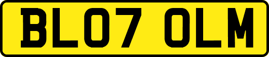 BL07OLM