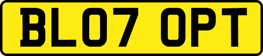 BL07OPT
