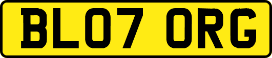 BL07ORG