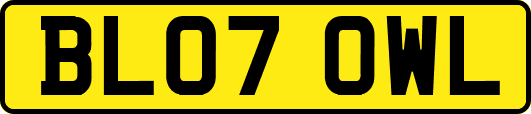 BL07OWL