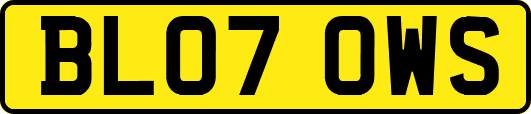 BL07OWS