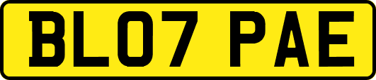 BL07PAE