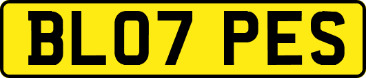 BL07PES