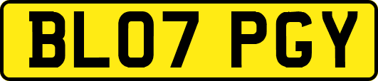 BL07PGY