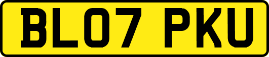 BL07PKU