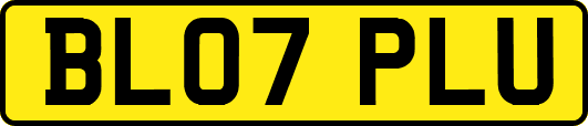 BL07PLU