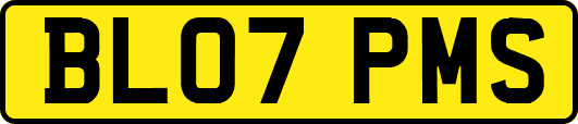 BL07PMS