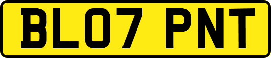 BL07PNT