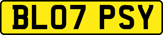 BL07PSY