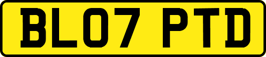 BL07PTD