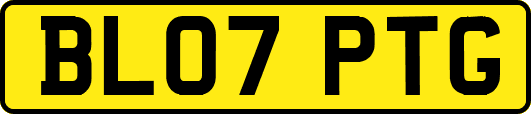 BL07PTG