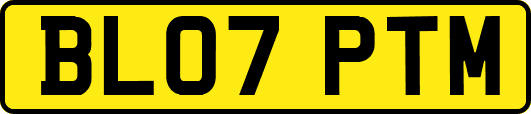 BL07PTM