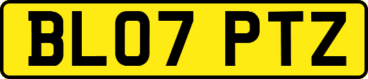 BL07PTZ