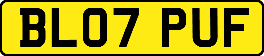 BL07PUF
