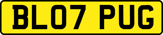 BL07PUG