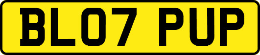 BL07PUP