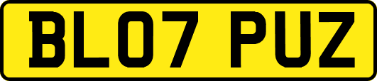 BL07PUZ