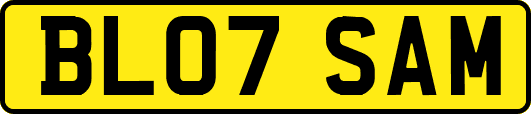 BL07SAM