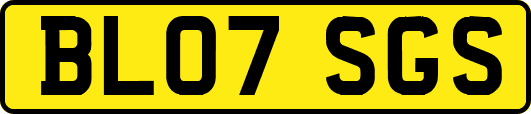 BL07SGS
